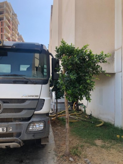 نقل-و-سائقون-chauffeur-camion-lourd-شراقة-الجزائر
