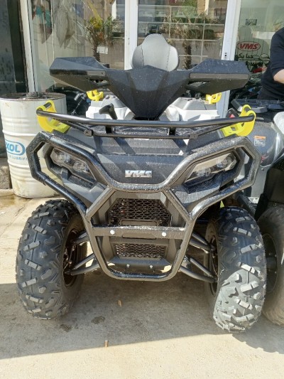 Vms Hamer 2026