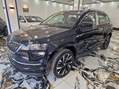 Skoda Karoq 2025 Karok