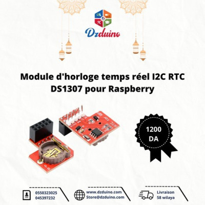 Module d'horloge temps réel I2C RTC DS1307 pour Raspberry