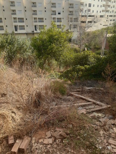 Vente Terrain Alger Ouled fayet