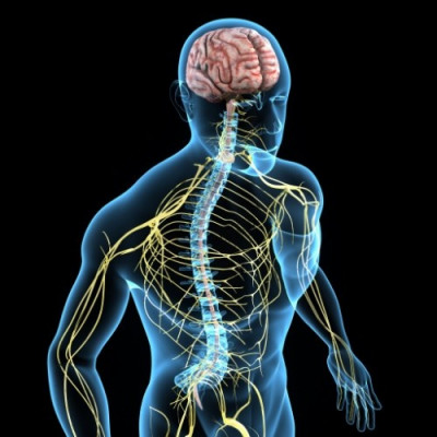 Clinique de chirurgie, neurologue et neurochirurgien, chirugien médecin à domicile