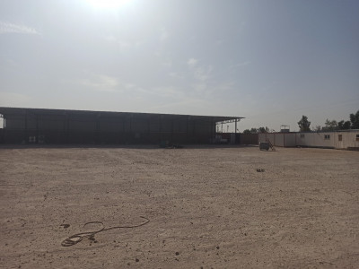 hangar-location-ouargla-hassi-messaoud-algerie