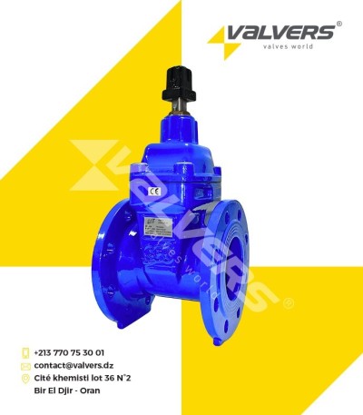 Vanne à opercule à brides