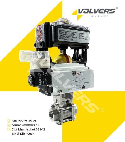 VANNE À BOISSEAU SPHÉRIQUE MOTORISÉE PNEUMATIQUE