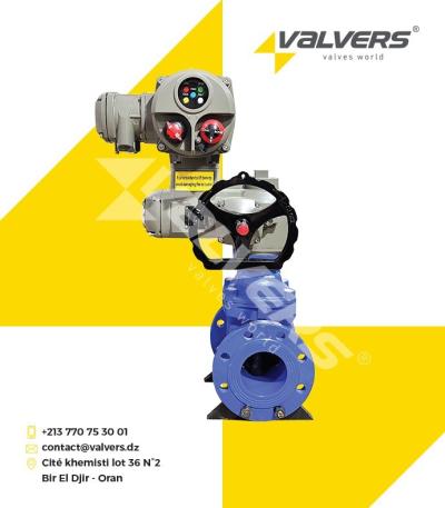VANNE À OPERCULE MOTORISÉE ÉLECTRIQUE