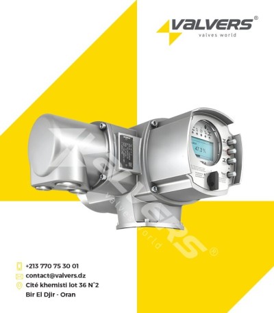 Commande locale pour servomoteur AUMA