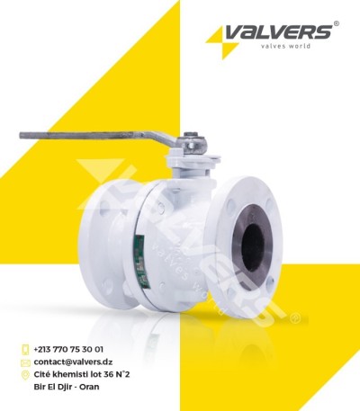 VANNE SPHÉRIQUE MOULÉE