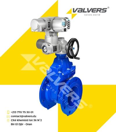 VANNE À OPERCULE MOTORISÉE ÉLECTRIQUE 