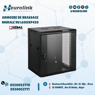 ARMOIRE DE BRASSAGE MURALE  9U L600XP450