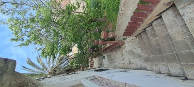 بيع أرض تيبازة دواودة