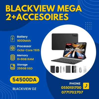 BLACKVIEW MEGA 2+ACCESOIRES 8GB/256GB 9000mAh