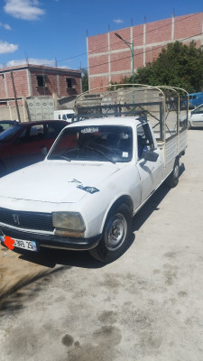 utilitaire-peugeot-504-1993-constantine-algerie