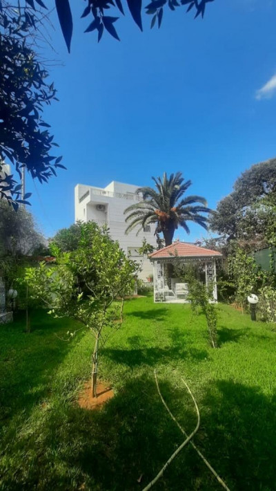 appartement-cherche-location-alger-hydra-algerie