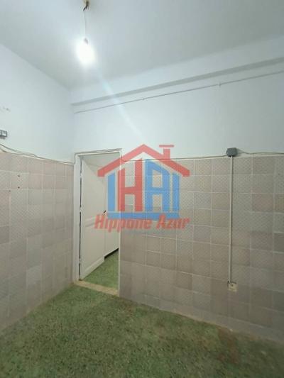 Rent Apartment Villa floor Studio Annaba Annaba