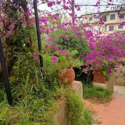 Vente Villa Alger Bouzareah