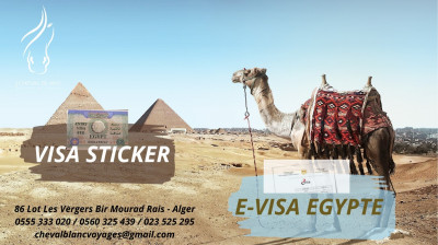 E-visa Dubai/ turquie/ egypte/ azerbaidjan 