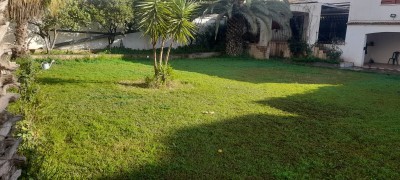 بيع فيلا بومرداس حمادي