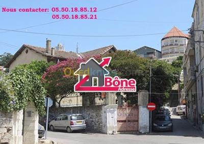 كراء فيلا عنابة عنابة