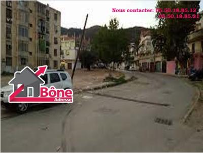 Location Local Annaba Annaba