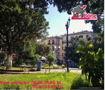 بيع محل عنابة عنابة