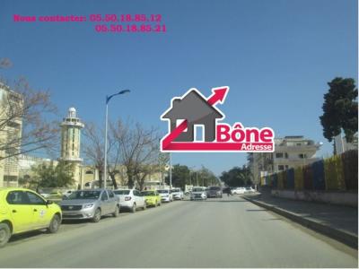 كراء محل عنابة عنابة