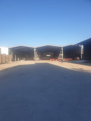 hangar-vente-boumerdes-khemis-el-khechna-algerie