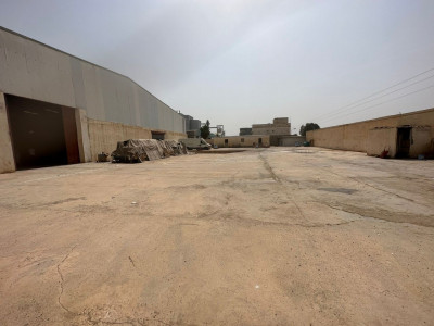 Location Hangar Tipaza Kolea