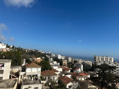 أرض-بحث-عن-شراء-الجزائر-وسط