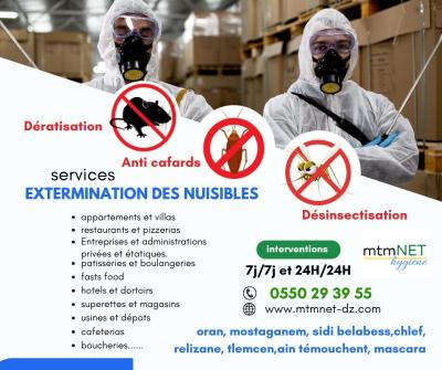 شركة القضاء على كل أنواع الحشرات الضارة و الفئران في عين تموشنت و ضواحيها