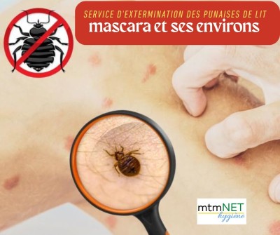 Extermination des punaises de lit à mascara 