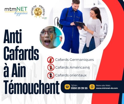 Service d'extermination des cafards à ain témouchent 