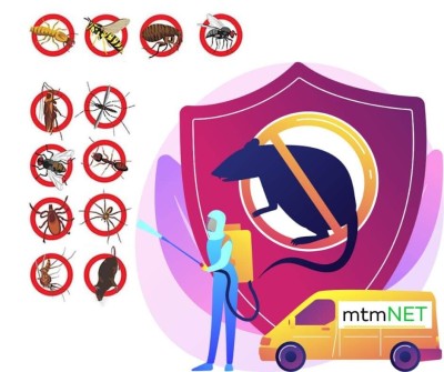 شركة مكافحة كل أنواع الحشرات الضارة و الفئران في وهران 