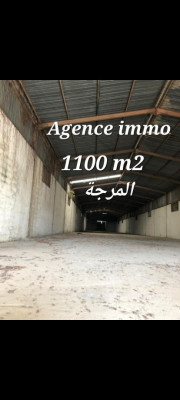 hangar-vente-alger-dar-el-beida-algerie