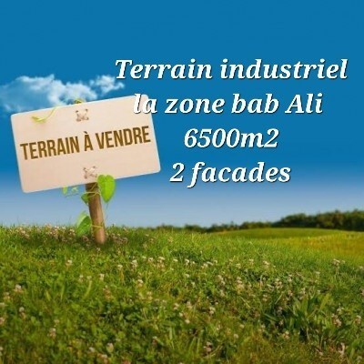 بيع أرض الجزائر بئر توتة