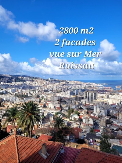 بيع أرض الجزائر الجزائر وسط