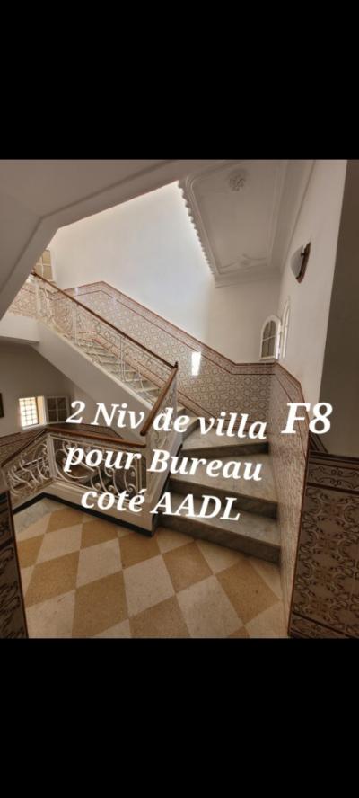 كراء فيلا الجزائر سعيد حمدين