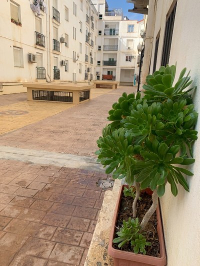 Vente Appartement F4 Alger Birkhadem