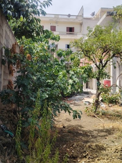 Vente Terrain Mila Mila