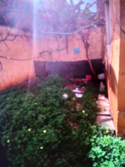 Vente Villa Alger Dar el beida