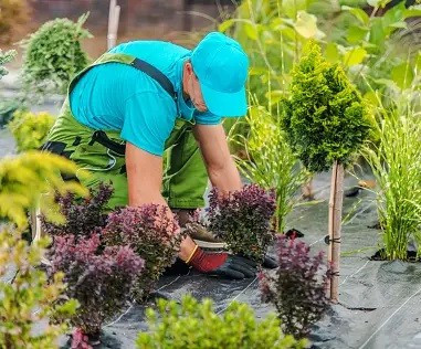 Société de nettoyage jardinage et aménagement des espaces verts