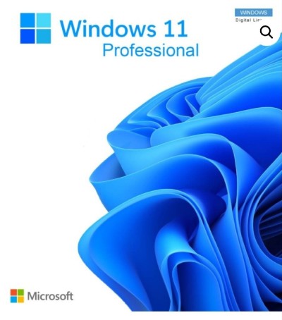 Windows 11 Professionnel 