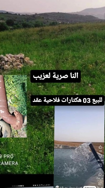 Sell Farmland Boumerdès Naciria