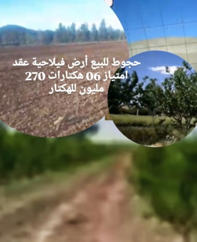 بيع أرض فلاحية تيبازة حجوط