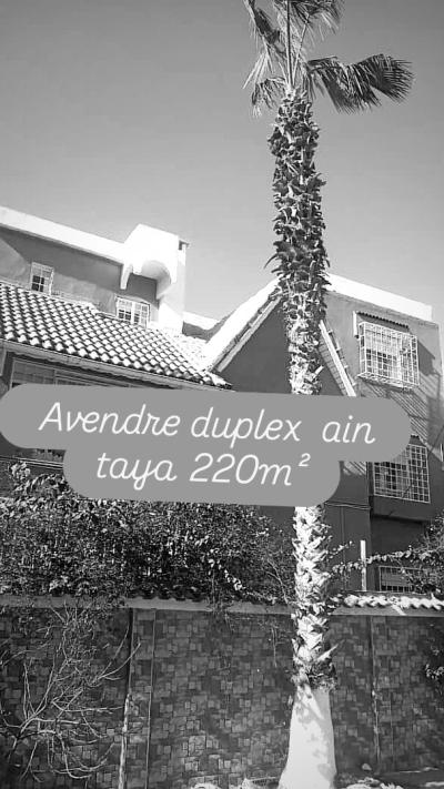 بيع دوبلكس الجزائر عين طاية