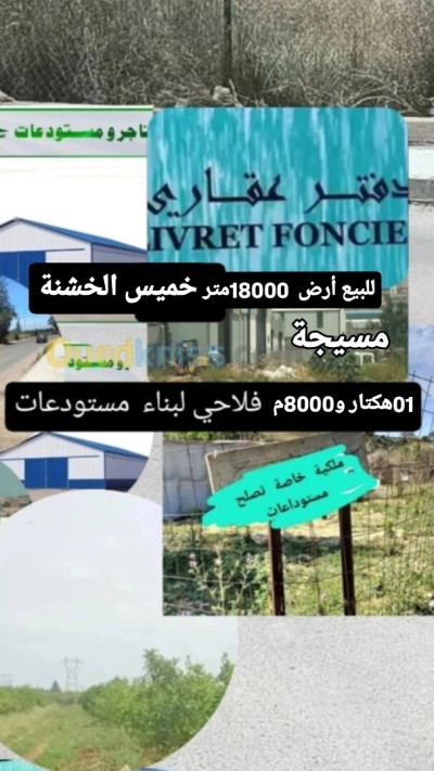 بيع أرض فلاحية 3 غرف بومرداس خميس الخشنة