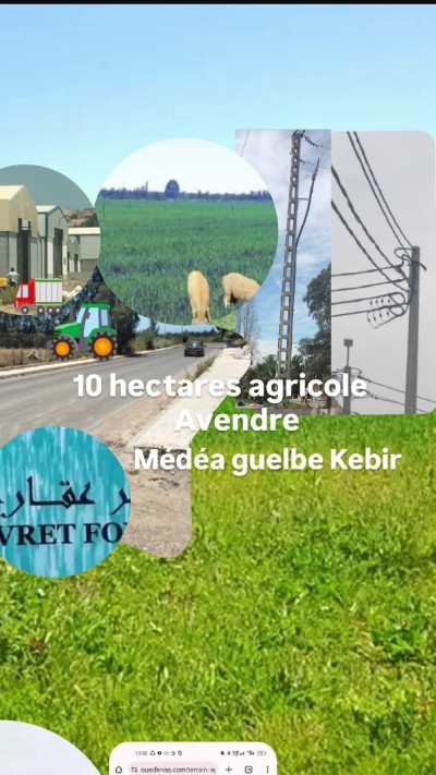 بيع أرض فلاحية المدية القلب الكبير