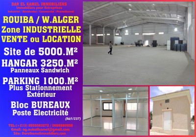 Sell Hangar Algiers Rouiba