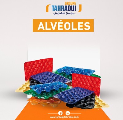 Alvéoles