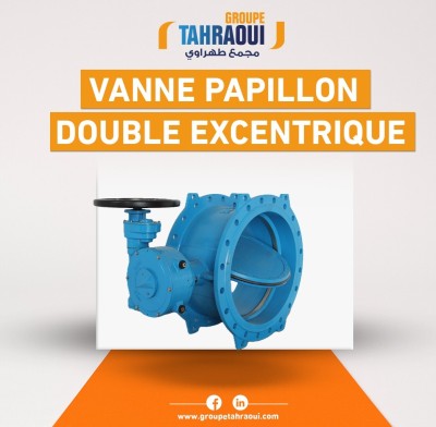vanne papillon double excentrique
